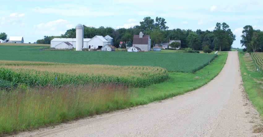 Farm road with cornfield and barn, silo, house