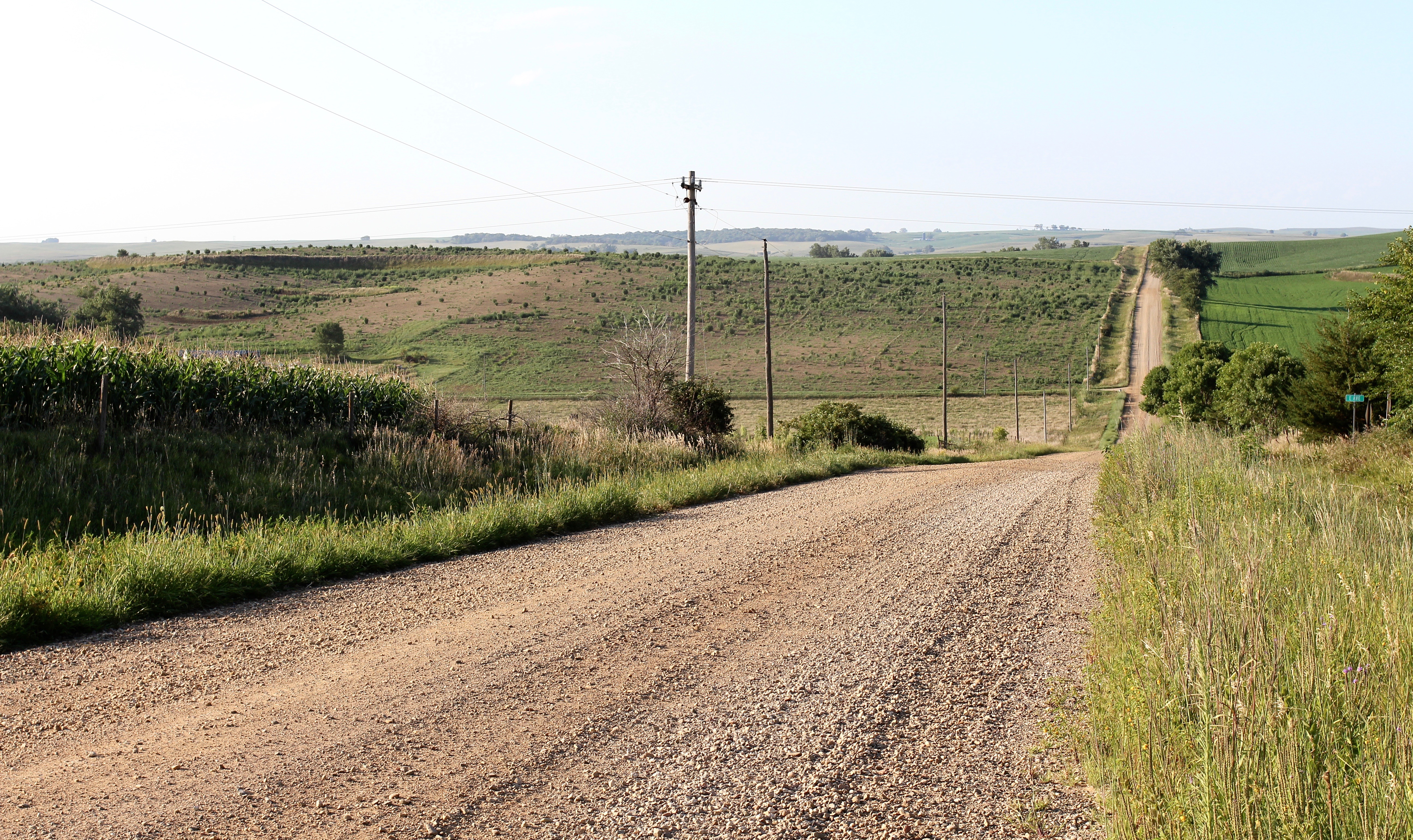 Palmer explodes into Iowa