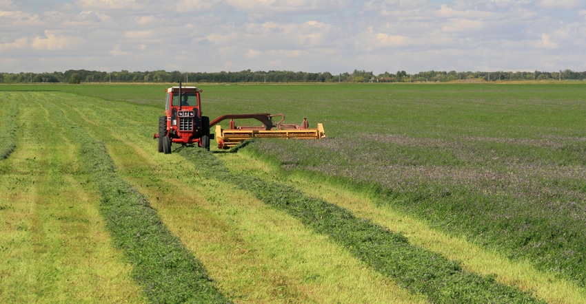 Tractor mowing alfalfa