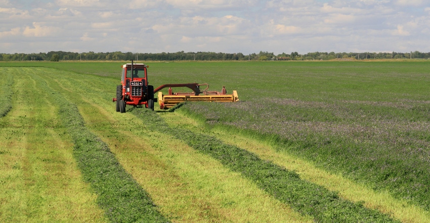 Tractor mowing alfalfa Tractor mowing alfalfa