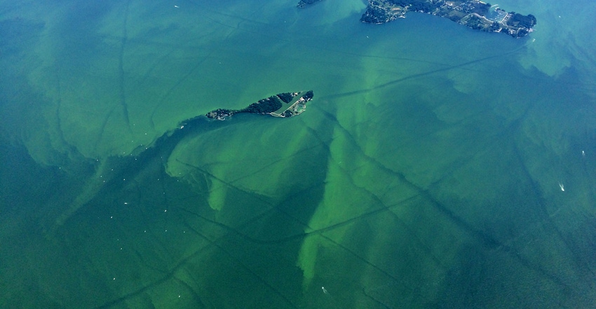 algal blooms in body of water