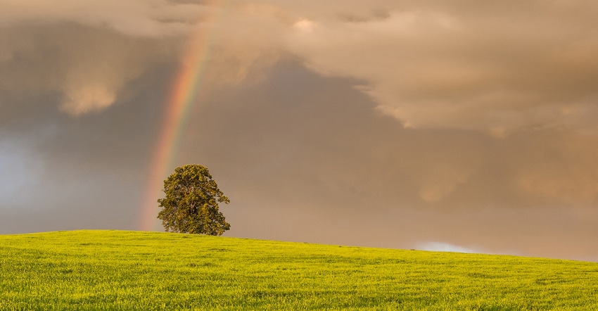 Rainbow above field