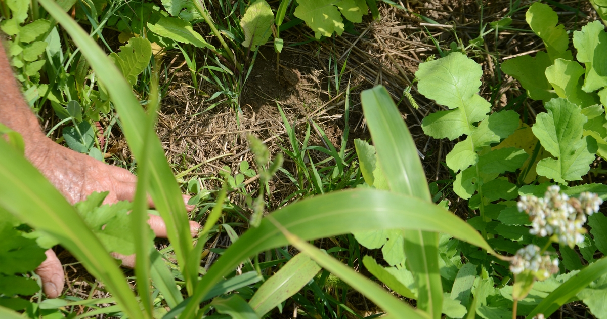 Strike ‘Pay Dirt’ at northern Indiana soils meeting