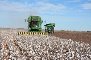 SWFP-HUGULEY-homeplace-harvest-cotton-18 (24 of 172).jpg