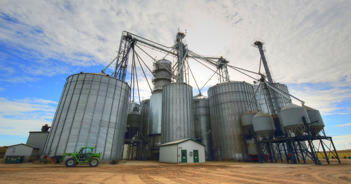 Corn and soybean basis changes signal market trends for 2024-2025