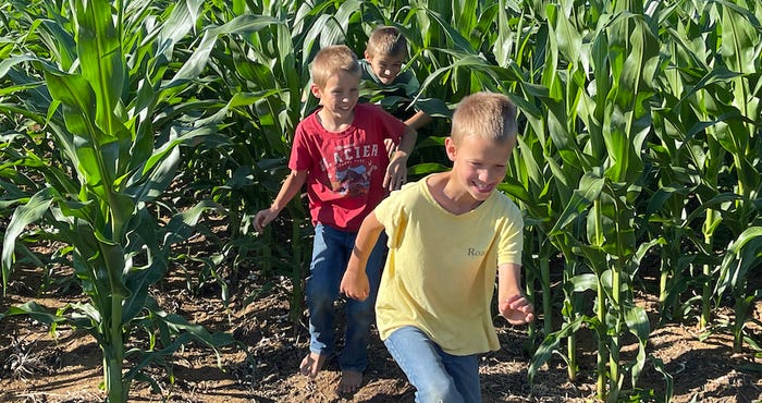 children play in cornfield