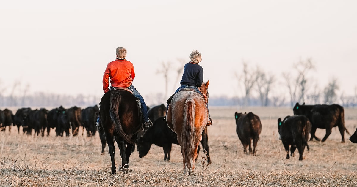 Life on the ranch | Farm Progress