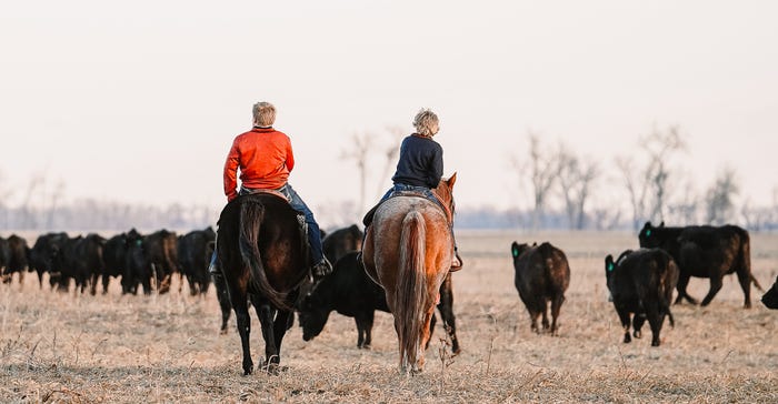 2 boys ride out to check heifers in a pasture south of the ranch near Ludden, N.D.