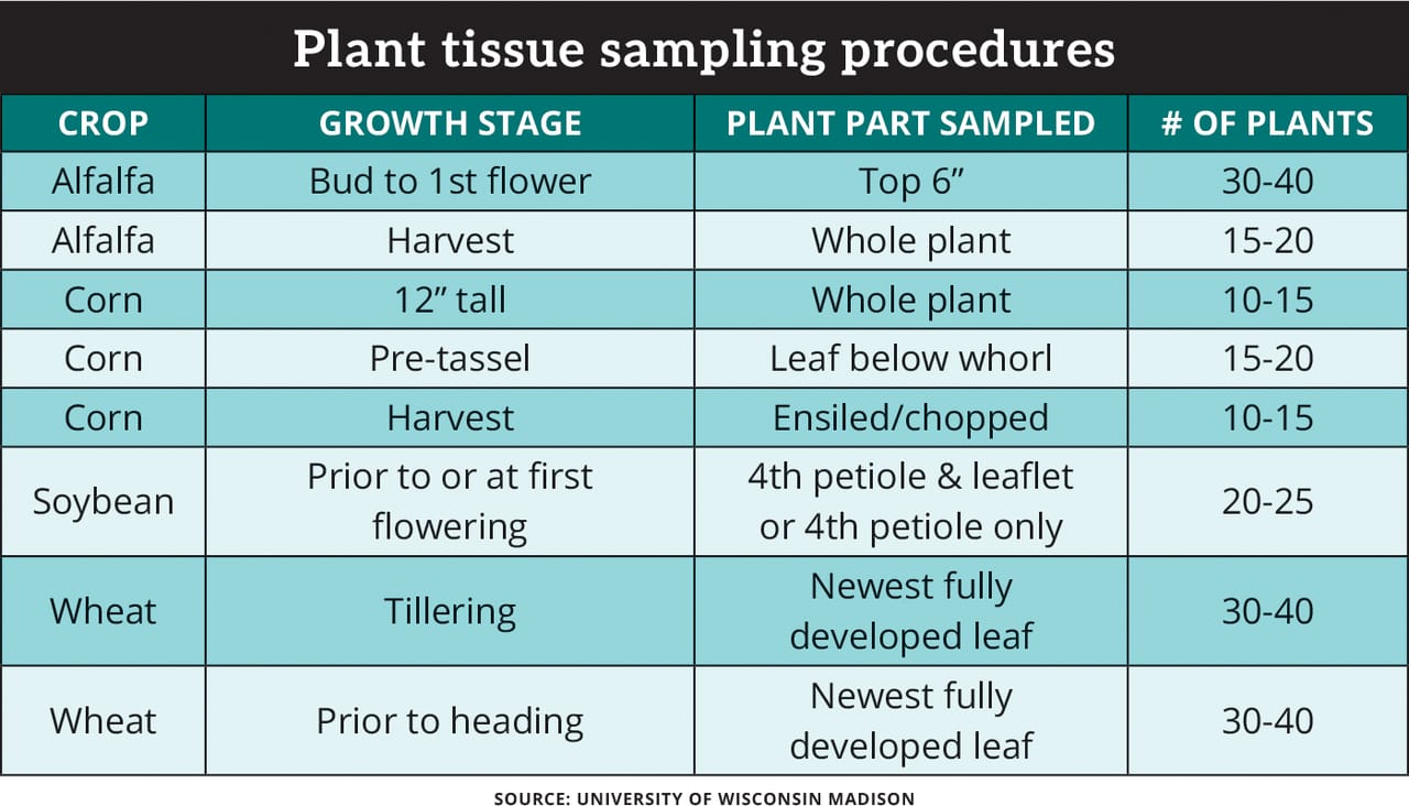 Plant Sample Collection Flow Chart.pdf 4 questions that turn plant tissue testing data into decisions