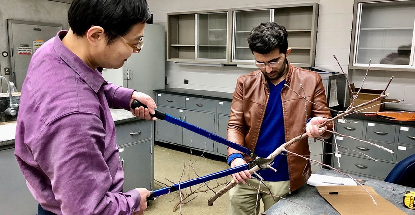 Penn State researchers Lihua Zeng, visiting scholar, and Aslan Zahid, Ph.D. candidate, measure branch-cutting force