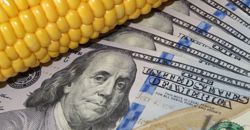 Corn cob on US dollars background