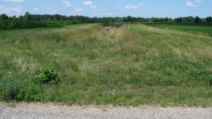 A grassy area near a gravel road and a field