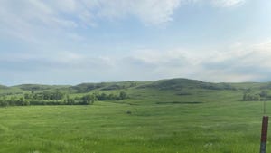 South Dakota grasslands
