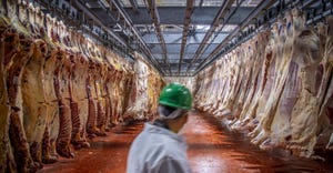 Beef processing USDA inspection Preston Keres.jpg