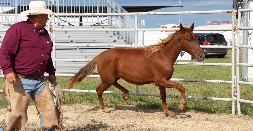 Ron Knodel teaching farmers and ranchers for 21 years how to tame wild horses during Husker Harvest Days 