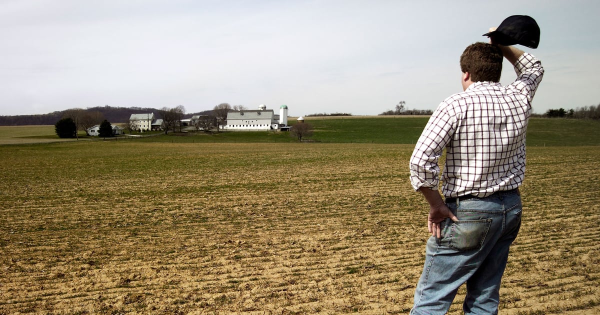 Farmers: The world’s most persistent gamblers
