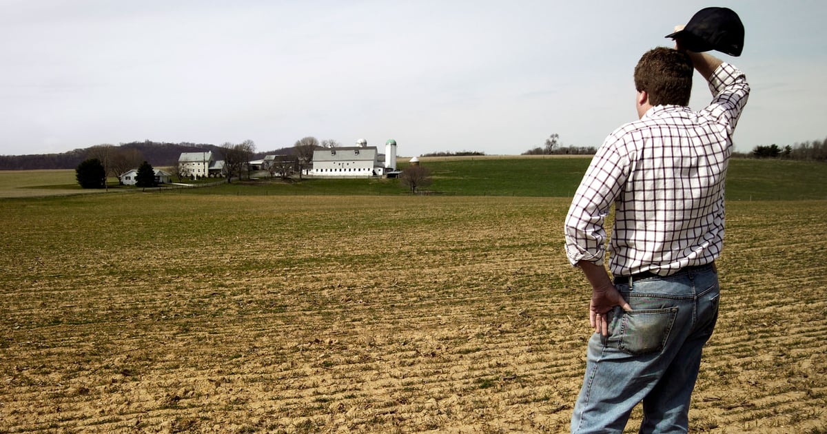 Farmers: The world’s most persistent gamblers