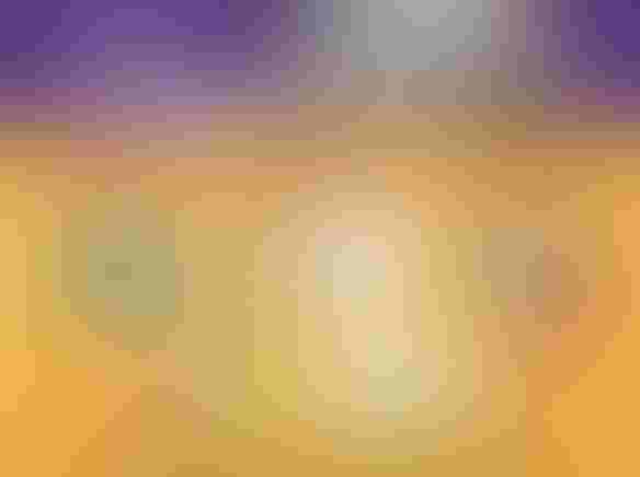 0419H1-2082B-584x436.jpg 0419H1-2082B-584x436.jpg