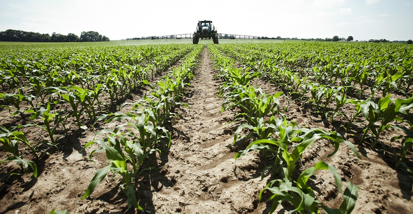 sidedressing corn field