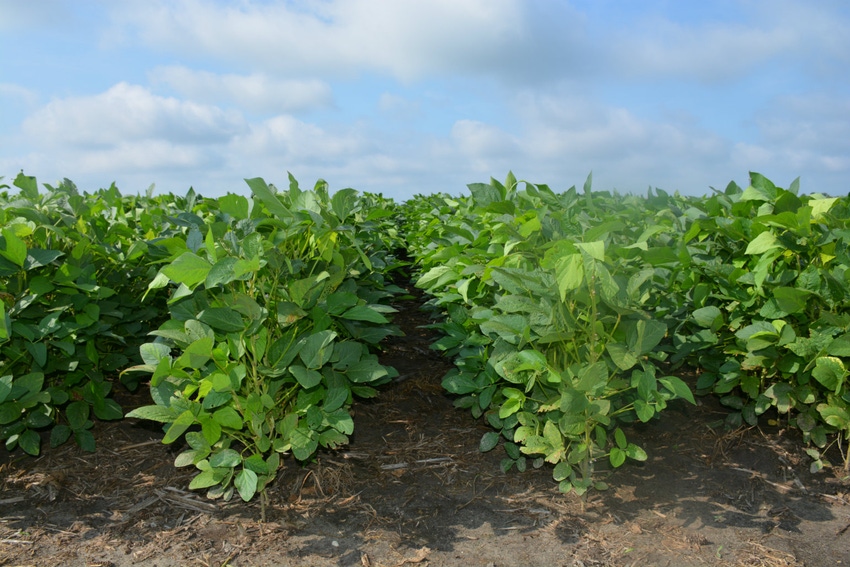 John_Hart_Farm_Press_NC_Soybean_Yield_Contest.jpg John_Hart_Farm_Press_NC_Soybean_Yield_Contest.jpg