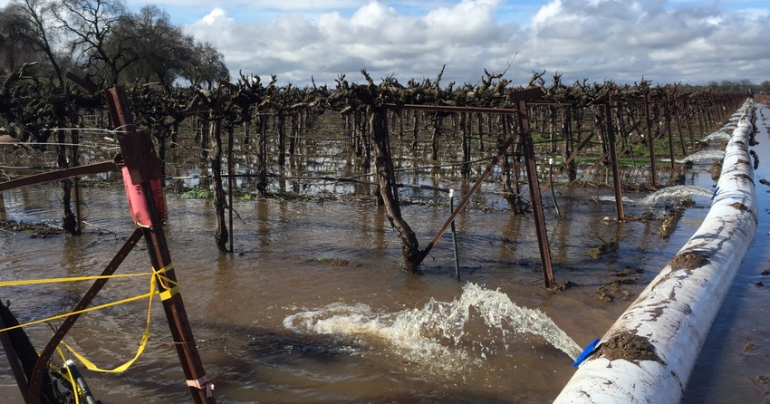 WFP-UC-flooded-fields.jpg