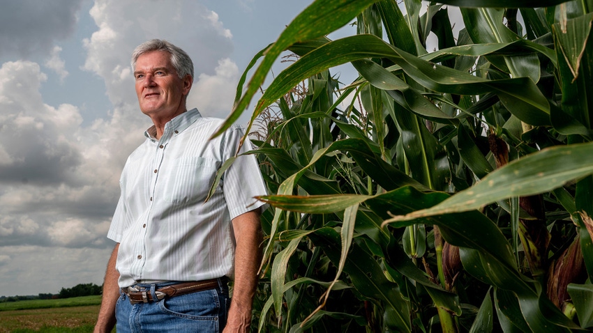 Bob Whitney corn field