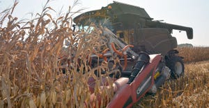 DFP-RonSmith-Corn-Harvest.jpg