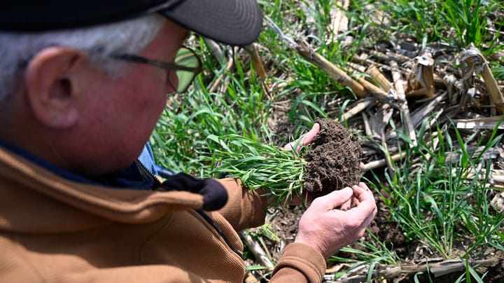 No-till yield drag: Fact or fiction?