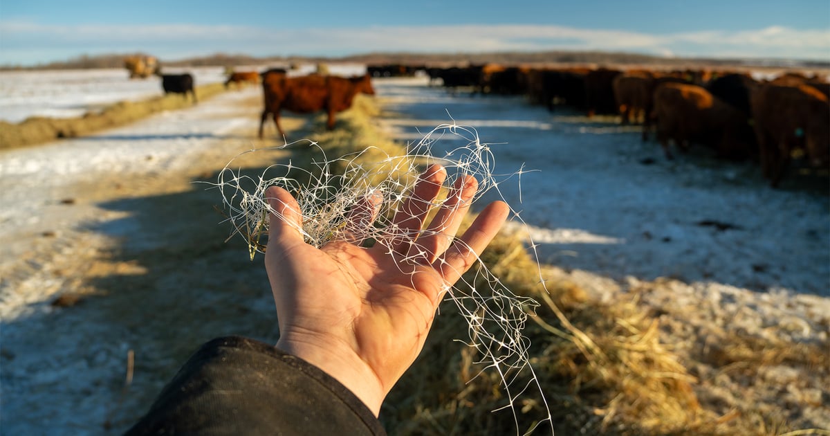 A new hay net wrap that disappears