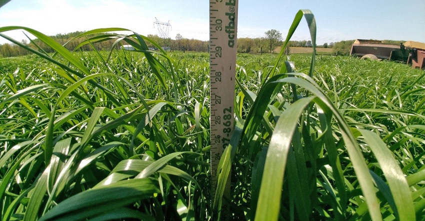 ruler measuring forage height ruler measuring forage height