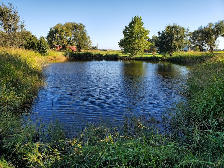 SWFP-SHELLEY-HUGULEY-19-mary-grace-lebeda-pond.jpg SWFP-SHELLEY-HUGULEY-19-mary-grace-lebeda-pond.jpg