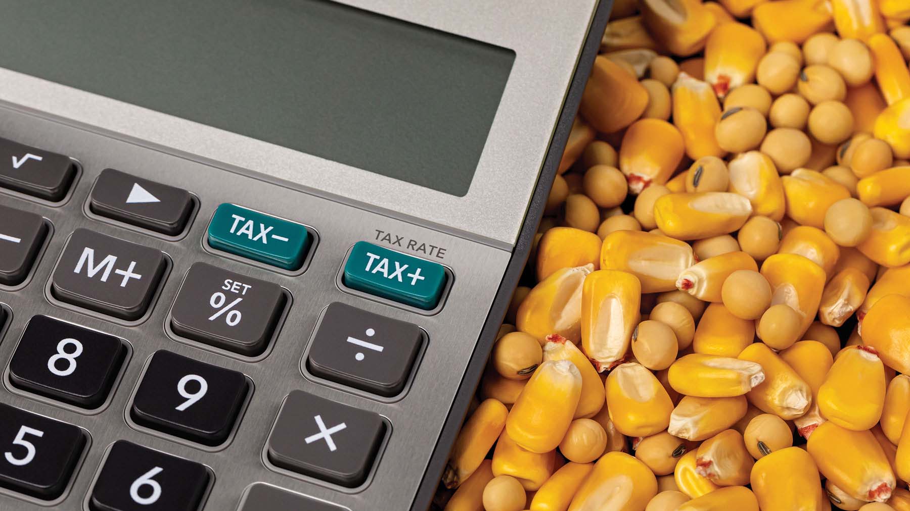 Hedging: How to manage grain market risk