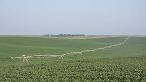Crops with irrigation equipment in field