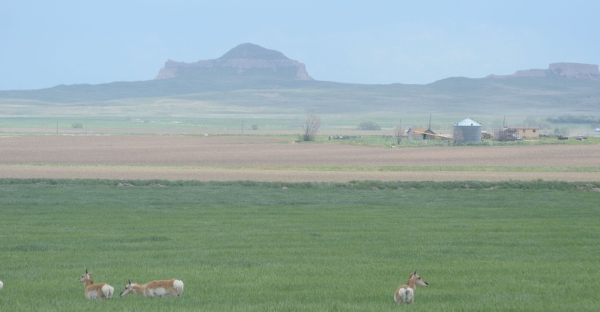 farmland with deer in foreground