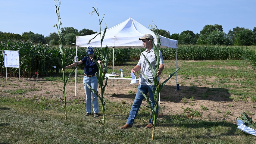 Daniela Carrijo and Ethan Whitmoyer hold cornstalks up of varying heights