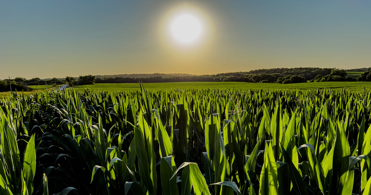 Why ‘boring’ isn’t bad for steady Iowa farmland values