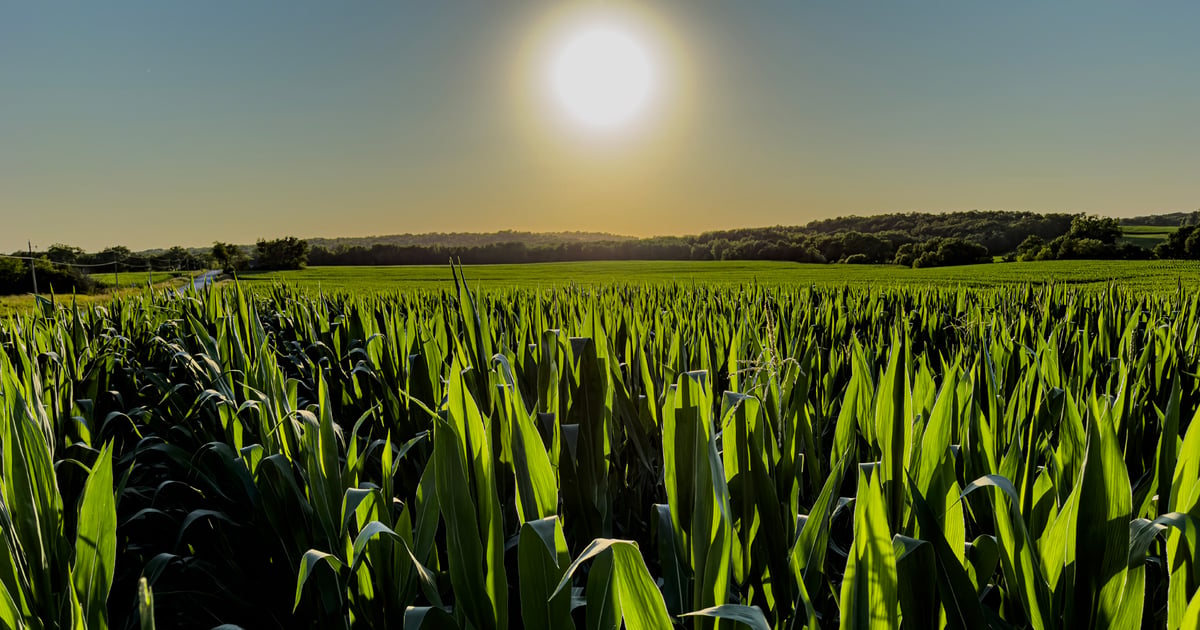 Why ‘boring’ isn’t bad for steady Iowa farmland values