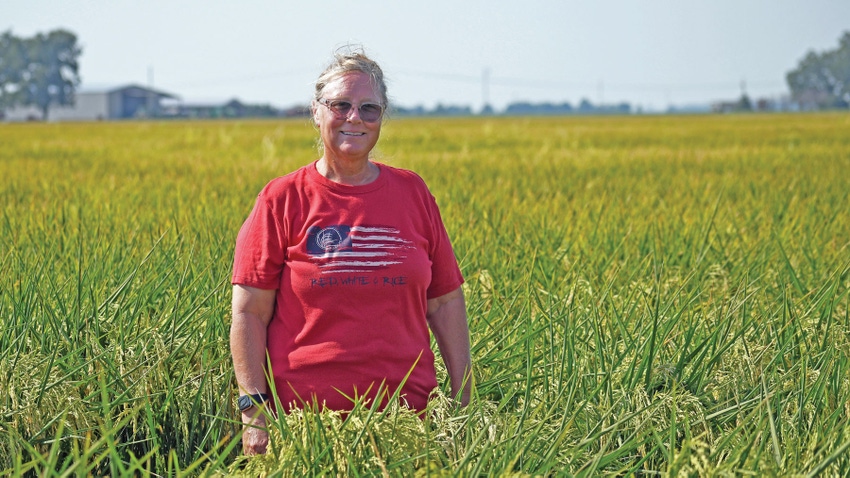 Woman standing in a drained field of late season rice.
