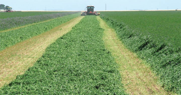 California agriculture moving toward sustainable future | Farm Progress