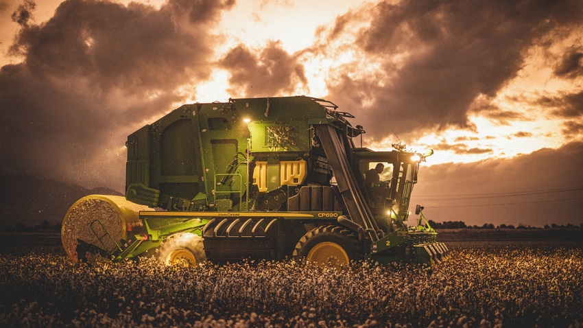 Profitability and consistency drive Pima planting Profitability and consistency drive Pima planting