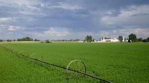 An irrigation system in an alfalfa field