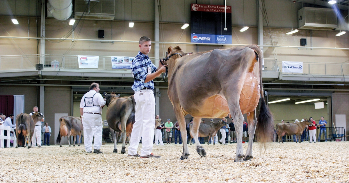 All set for AllAmerican Dairy Show Farm Progress