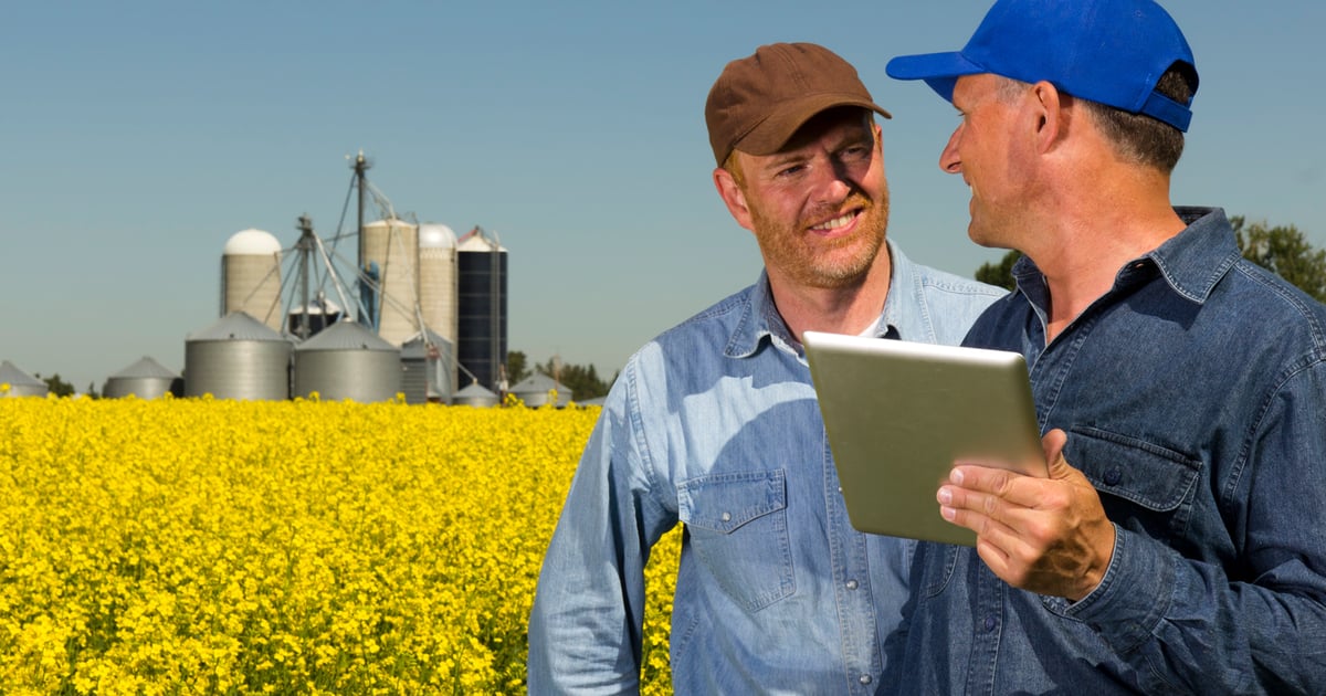 Farm Partners Farm partnerships with siblings can be complex