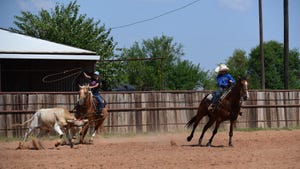 twins roping