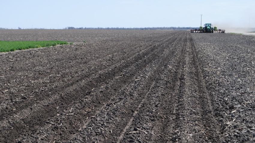 planter in field planter in field