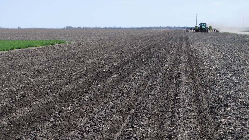 planter in field