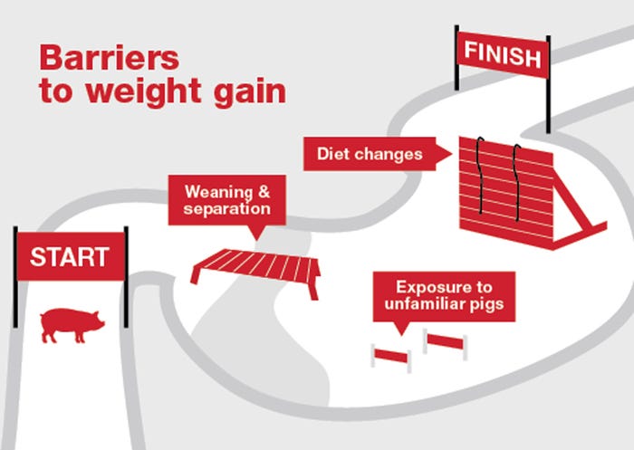 Barriers to weight gain illustration