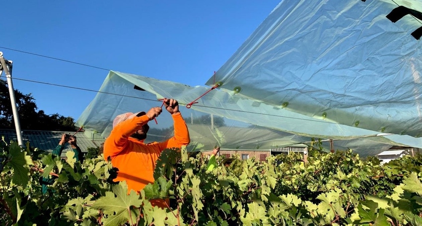WFP-UC-worker-wine.jpg WFP-UC-worker-wine.jpg