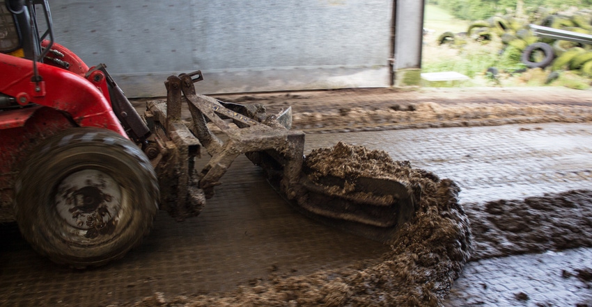 muck scraping on dairy farm
