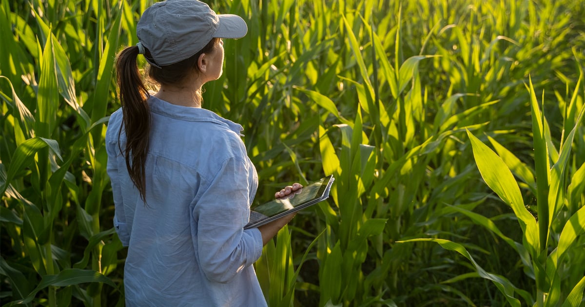 Meet these 4 innovative farmers at 2026 Farm Progress Show